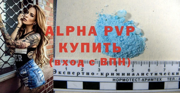 spice Верея