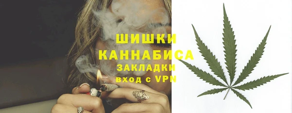 spice Верея