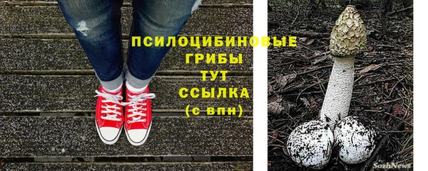МДПВ Верхнеуральск