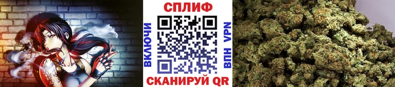OMG ТОР купить наркоту Шали Бошки марихуана марихуана